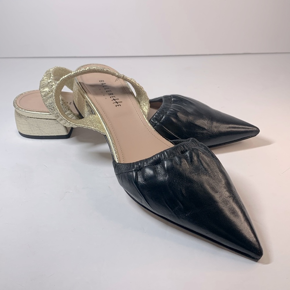 BallereTTe pointed toe shoes